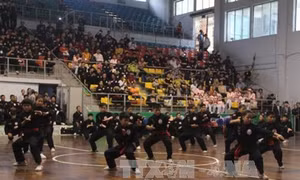 Liên hoan Võ Cổ truyền Thành phố Hồ Chí Minh "Võ Việt đất phương Nam"