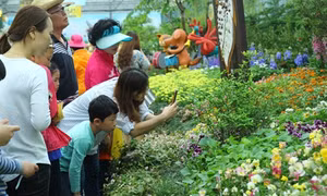 Lễ hội bướm Hampyeong thu hút du khách nhí