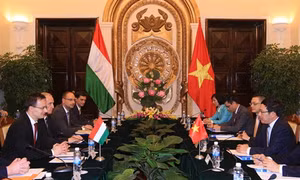 Thúc đẩy quan hệ hữu nghị và hợp tác truyền thống Việt Nam-Hungary