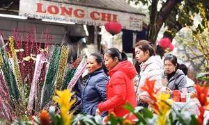 Nắng đẹp trên cả nước trong ngày đầu năm mới