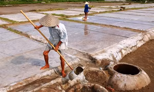 Nghề muối truyền thống ở Hải Hậu 