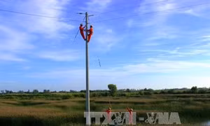 Bán điện rẻ, EVN vẫn lãi hơn 823 tỷ đồng