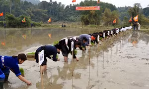 Lễ hội Lồng tồng ATK Định Hóa, Thái Nguyên
