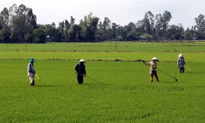 Kiên Giang: Đồng bào công giáo xã Hòa An tích cực xây dựng nông thôn mới