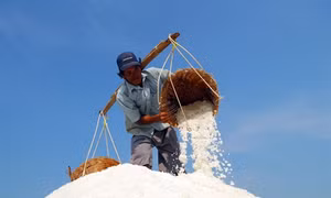 Diêm dân kêu trời vì bán một tấn muối, lợi nhuận chỉ bằng 4 bát phở bình dân
