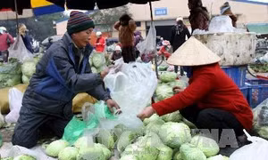 Rét hại, giá rau xanh ở Hà Nội tăng 30-40%