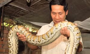 Cho vay xuất khẩu lao động- kênh tín dụng hiệu quả trong xóa nghèo bền vững