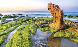 Thiên đường Cổ Thạch mùa rêu