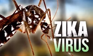 Việt Nam phát hiện 2 trường hợp đầu tiên nhiễm Zika
