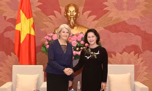 Chủ tịch Quốc hội Nguyễn Thị Kim Ngân tiếp Đại sứ Đan Mạch và Đại sứ Thụy Điển