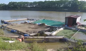 Thông tin về vụ tai nạn thương tâm khiến 5 người tử vong ở Yên Phong (Bắc Ninh)