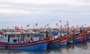 Khởi công khu neo đậu tránh trú bão cho tàu cá đảo Phú Quý