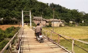 Chênh vênh cầu treo ở Động Quan