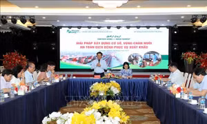 Xây dựng vùng chăn nuôi an toàn dịch bệnh phục vụ xuất khẩu