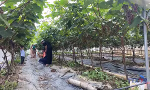 Điện Biên phát triển mô hình du lịch xanh