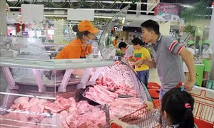 Đảm bảo sức khỏe cho người dân trong dịp Tết và mùa lễ hội 2019