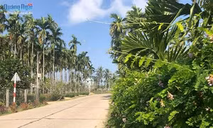 Dấu ấn huyện nông thôn mới đầu tiên của Quảng Ngãi