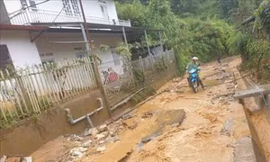 Lũ ở hầu hết sông suối tại Lào Cai dâng cao