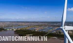 Thúc đẩy phát triển nguồn năng lượng xanh ở Việt Nam (Bài 1)