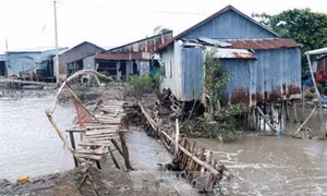 Nhiều đoạn bờ biển tỉnh Kiên Giang bị sạt lở