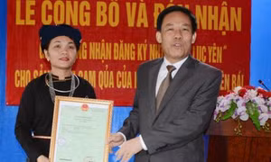 Yên Bái nâng cao giá trị thương hiệu cam Lục Yên