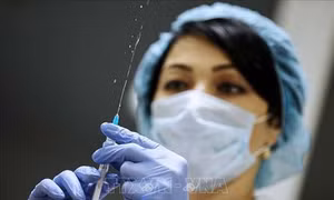 Điều chế vaccine một mũi chống lại tất cả các chủng virus cúm