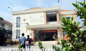 Thành phố Hồ Chí Minh nâng chất nông thôn mới