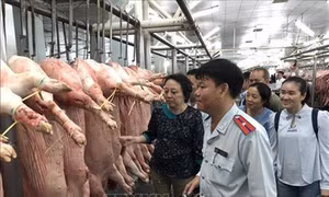 Thành phố Hồ Chí Minh đẩy mạnh phát triển chuỗi cung ứng thực phẩm an toàn