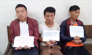 Bắt đối tượng vận chuyển trái phép 20 bánh heroin tại Sơn La
