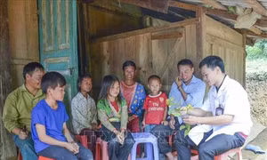 Tuyên truyền vận động người dân vùng cao từ bỏ cây lá ngón