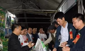 Lễ hội bưởi Đại Minh và khám phá danh thắng hồ Thác Bà năm 2019