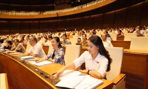 Kỳ họp thứ 7, Quốc hội khóa XIV: Thông qua Luật Phòng, chống tác hại của rượu, bia
