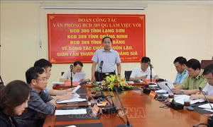 Các tỉnh Lạng Sơn, Cao Bằng, Quảng Ninh triển khai hiệu quả việc chống buôn lậu, hàng giả