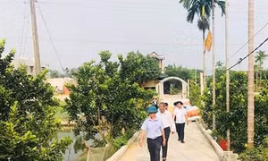 Thanh Hóa: Sức lan tỏa từ mô hình “Nhà sạch, vườn mẫu”