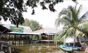 Cà Mau chủ động tạo liên kết để phát triển du lịch bền vững