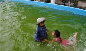 Bà Sáu Thia - Người phụ nữ nghèo vùng sông nước được tôn vinh "Sống đẹp"