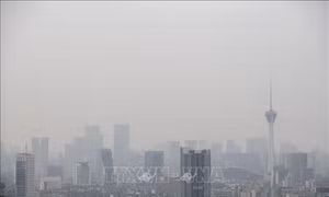 Mối liên hệ giữa ô nhiễm môi trường với bệnh đái tháo đường