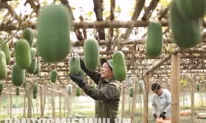 Hiệu quả công tác giảm nghèo nhìn từ huyện Ba Bể
