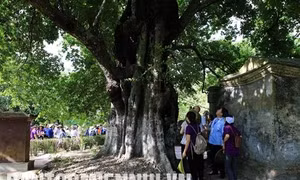 Làng cổ Phước Tích