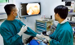 Hà Nội khám bệnh sàng lọc miễn phí ung thư đại trực tràng sớm cho 500.000 người