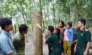 Mô hình “gắn kết hộ” giúp bà con vùng biên thoát nghèo