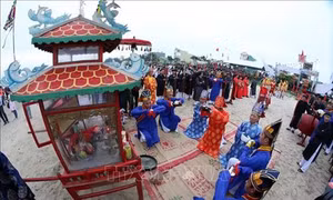 Lễ hội Cầu ngư - nét văn hóa đặc trưng của cộng đồng cư dân vùng biển