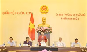 Nghị quyết về việc sắp xếp các đơn vị hành chính cấp huyện, cấp xã trong giai đoạn 2019 - 2021
