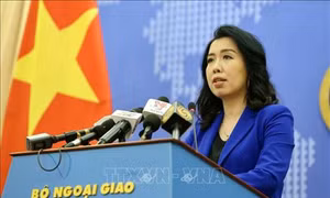 Người Phát ngôn Bộ Ngoại giao yêu cầu các bên liên quan tôn trọng chủ quyền Việt Nam, không tái diễn vi phạm
