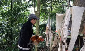 Lễ hội cúng rừng ở Nà Hẩu