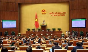 Nghị quyết về Kế hoạch phát triển kinh tế - xã hội năm 2020