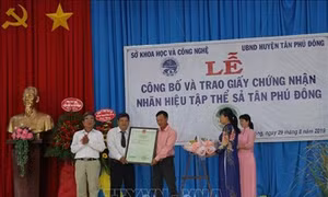 Cấp chứng nhận nhãn hiệu tập thể cho cây Sả Tân Phú Đông, Tiền Giang