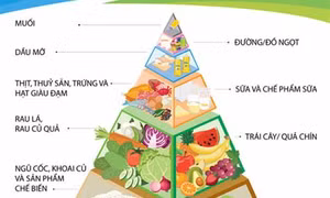Chế độ ăn uống, hoạt động hợp lý là nền tảng của sức khỏe