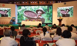 Phát triển cà phê đặc sản, nâng cao giá trị hạt cà phê Việt Nam