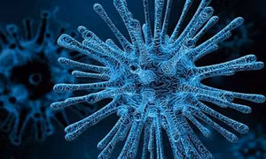 Phát hiện chủng virus HIV mới